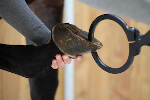 Sonde de pied pour recherche d'abcès